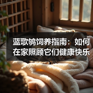 蓝歌鸲饲养指南：如何在家照顾它们健康快乐
