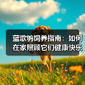 蓝歌鸲饲养指南：如何在家照顾它们健康快乐（图4）