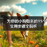 为你的小狗取名的15个实用步骤全解析（图3）