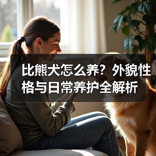 比熊犬怎么养？外貌性格与日常养护全解析
