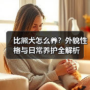 比熊犬怎么养？外貌性格与日常养护全解析（图3）