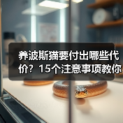 养波斯猫要付出哪些代价？15个注意事项教你避开雷区（图4）