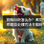 狗狗呕吐怎么办？常见原因及处理方法全解析（图4）