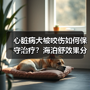 心脏病犬被咬伤如何保守治疗？海泊舒效果分析（图2）