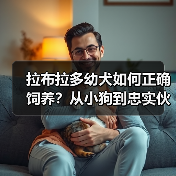 拉布拉多幼犬如何正确饲养？从小狗到忠实伙伴的关键技巧（图2）