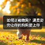 如何正确撸狗？温柔姿势让你的狗狗爱上你（图2）