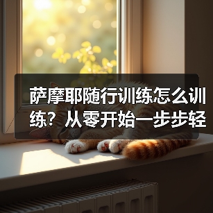 萨摩耶随行训练怎么训练？从零开始一步步轻松掌握（图2）