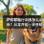 萨摩耶随行训练怎么训练？从零开始一步步轻松掌握（图4）