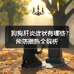 狗狗肝炎症状有哪些？预防措施全解析（图4）
