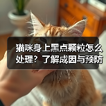 猫咪身上黑点颗粒怎么处理？了解成因与预防方法