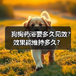 狗狗药浴要多久见效？效果能维持多久？（图3）