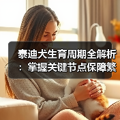 泰迪犬生育周期全解析：掌握关键节点保障繁殖健康（图2）