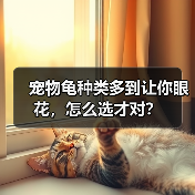 宠物龟种类多到让你眼花，怎么选才对？（图2）