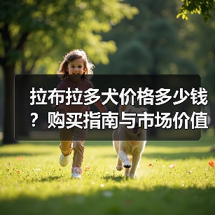 拉布拉多犬价格多少钱？购买指南与市场价值解析
