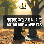 带狗狗购物去哪儿？了解哪些超市允许狗狗入内（图1）