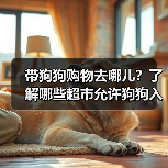 带狗狗购物去哪儿？了解哪些超市允许狗狗入内（图2）