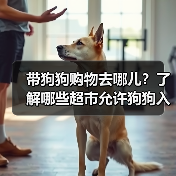 带狗狗购物去哪儿？了解哪些超市允许狗狗入内（图3）