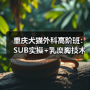 重庆犬猫外科高阶班:SUB实操+乳糜胸技术全掌握(图1) 重庆犬猫外科高阶班:SUB实操+乳糜胸技术全掌握(图1)
