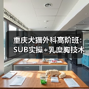重庆犬猫外科高阶班:SUB实操+乳糜胸技术全掌握(图4) 重庆犬猫外科高阶班:SUB实操+乳糜胸技术全掌握(图4)