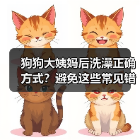狗狗大姨妈后洗澡正确方式？避免这些常见错误