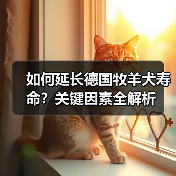 如何延长德国牧羊犬寿命？关键因素全解析（图3）