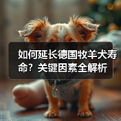 如何延长德国牧羊犬寿命？关键因素全解析（图4）