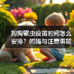 狗狗驱虫疫苗时间怎么安排？间隔与注意事项全解析（图3）