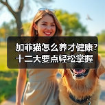 加菲猫怎么养才健康？十二大要点轻松掌握（图2）