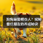 狗狗最爱哪些人？揭秘最佳朋友的养成秘诀（图3）