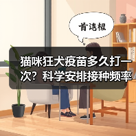 猫咪狂犬疫苗多久打一次？科学安排接种频率全解析（图4）