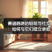 普通鹦鹉的聪明与社交：如何与它们建立亲密联系？（图2）