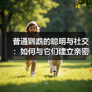 普通鹦鹉的聪明与社交：如何与它们建立亲密联系？（图3）