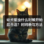 幼犬驱虫什么时候开始最合适？时间表与方法详解（图1）