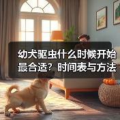 幼犬驱虫什么时候开始最合适？时间表与方法详解（图3）