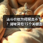 法斗价格为何居高不下？揭秘背后15个关键因素（图2）
