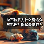 拉布拉多为什么有这么多毛色？揭秘多彩魅力（图4）