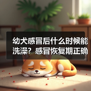 幼犬感冒后什么时候能洗澡？感冒恢复期正确洗澡时间安排