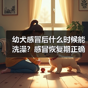 幼犬感冒后什么时候能洗澡？感冒恢复期正确洗澡时间安排（图3）