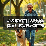 幼犬感冒后什么时候能洗澡？感冒恢复期正确洗澡时间安排（图4）