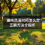 猫咪洗澡时间怎么定？正确方法全解析（图1）