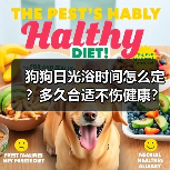 狗狗日光浴时间怎么定？多久合适不伤健康？（图3）