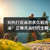 狗狗打疫苗后多久能洗澡？正确洗澡时间全解析（图2）