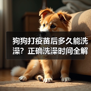 狗狗打疫苗后多久能洗澡？正确洗澡时间全解析