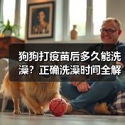 狗狗打疫苗后多久能洗澡？正确洗澡时间全解析（图4）