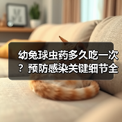 幼兔球虫药多久吃一次？预防感染关键细节全解析（图3）