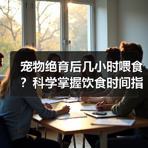 宠物绝育后几小时喂食？科学掌握饮食时间指南