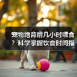 宠物绝育后几小时喂食？科学掌握饮食时间指南（图3）