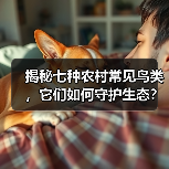揭秘七种农村常见鸟类，它们如何守护生态？（图1）