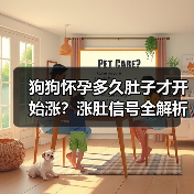 狗狗怀孕多久肚子才开始涨？涨肚信号全解析（图3）