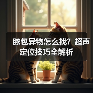 脓包异物怎么找？超声定位技巧全解析（图2）